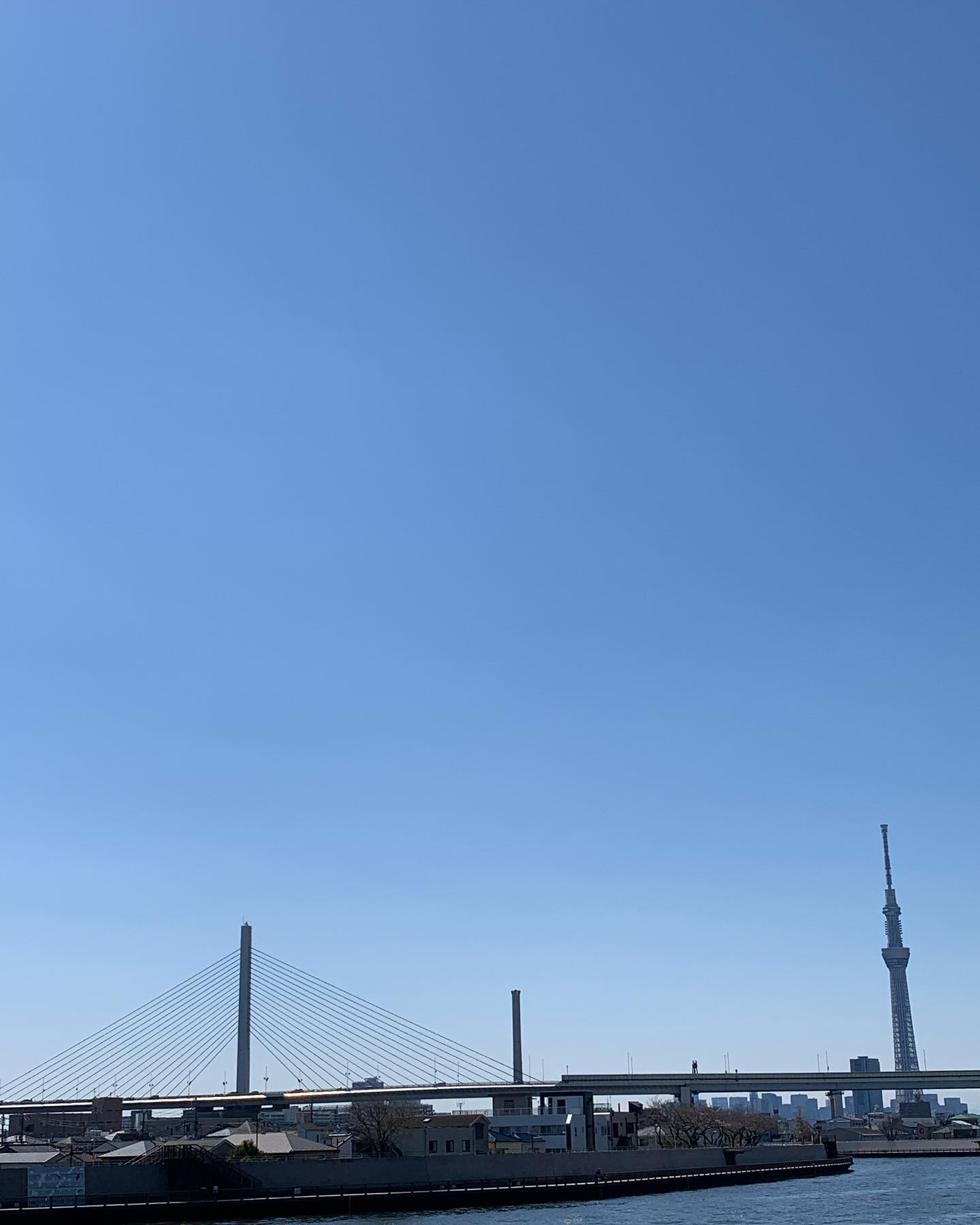 かつしかハープ橋とレインボーブリッジ - from Instagram