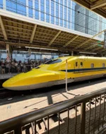 ドクターイエロー

2027年をめどに引退するドクターイエローに東京駅で会えました。
通っていた小学校からドクターイエローが見えたので、昔は見たことありましたが、近年、しかもあんなに間近で見たのは初めてかもしれません。
月曜のお昼ごろ、静岡へ戻る時、隣のフォームに止まっていました。
なんであんなに浮き立つんでしょうね笑。
調子に乗りすぎて、乗り出してしまった人がいたようで、通常運行の新幹線まで一時緊急停止に。
私の乗ったこだまは、東京駅を2分遅れで出発、小田原で2台のぞみに追い越されるので、そちらの遅れの影響も出て、三島駅には5分遅れで到着しました💦
こだまは先に行くにつれ、遅れ時間が長くなるなんて、ちょっと悲しい現実です。
まぁ、ドクターイエローを見ることができたからいいんですけど。

#ドクターイエロー #東京駅